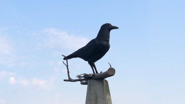 World's Largest Crow in Belgrade, MN